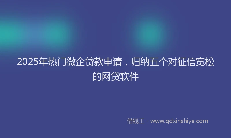 2025年热门微企贷款申请，归纳五个对征信宽松的网贷软件
