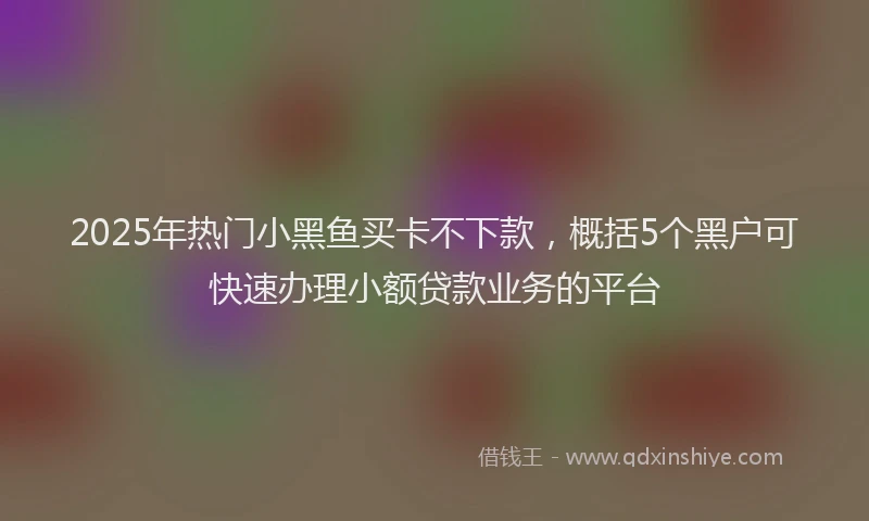 2025年热门小黑鱼买卡不下款，概括5个黑户可快速办理小额贷款业务的平台