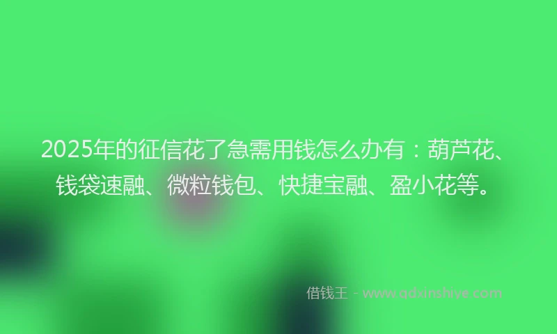 2025年的征信花了急需用钱怎么办有：葫芦花、钱袋速融、微粒钱包、快捷宝融、盈小花等。