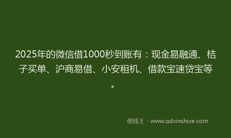 2025年的微信借1000秒到账有：现金易融通、桔子买单、沪商易借、小安租机、借款宝速贷宝等。