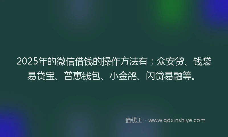 2025年的微信借钱的操作方法有：众安贷、钱袋易贷宝、普惠钱包、小金鸽、闪贷易融等。