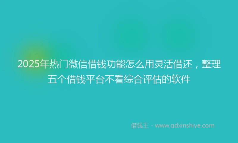2025年热门微信借钱功能怎么用灵活借还，整理五个借钱平台不看综合评估的软件