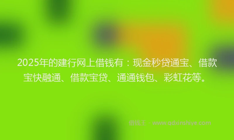 2025年的建行网上借钱有：现金秒贷通宝、借款宝快融通、借款宝贷、通通钱包、彩虹花等。
