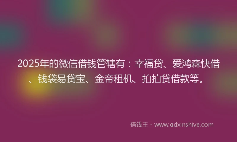 2025年的微信借钱管辖有：幸福贷、爱鸿森快借、钱袋易贷宝、金帝租机、拍拍贷借款等。