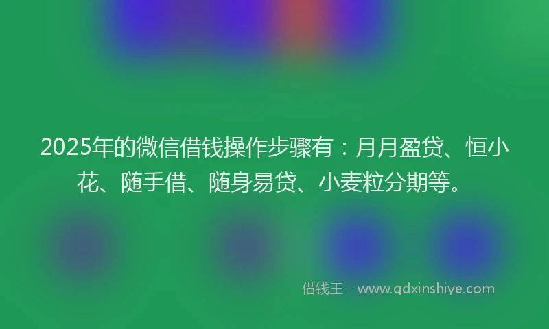 2025年的微信借钱操作步骤有：月月盈贷、恒小花、随手借、随身易贷、小麦粒分期等。