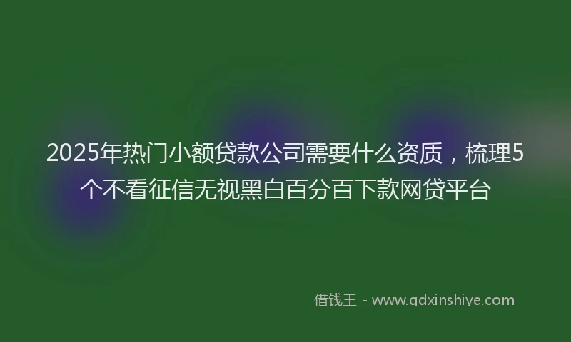 2025年热门小额贷款公司需要什么资质，梳理5个不看征信无视黑白百分百下款网贷平台