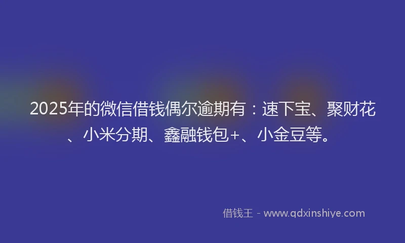 2025年的微信借钱偶尔逾期有：速下宝、聚财花、小米分期、鑫融钱包+、小金豆等。