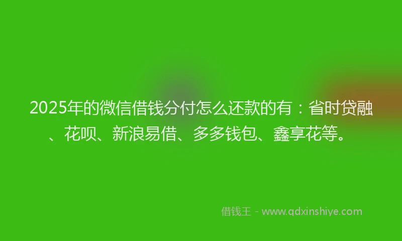 2025年的微信借钱分付怎么还款的有：省时贷融、花呗、新浪易借、多多钱包、鑫享花等。