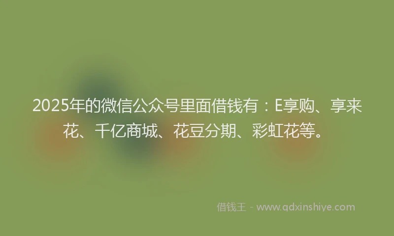 2025年的微信公众号里面借钱有：E享购、享来花、千亿商城、花豆分期、彩虹花等。