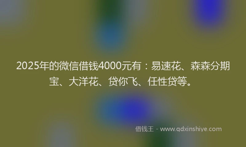 2025年的微信借钱4000元有：易速花、森森分期宝、大洋花、贷你飞、任性贷等。