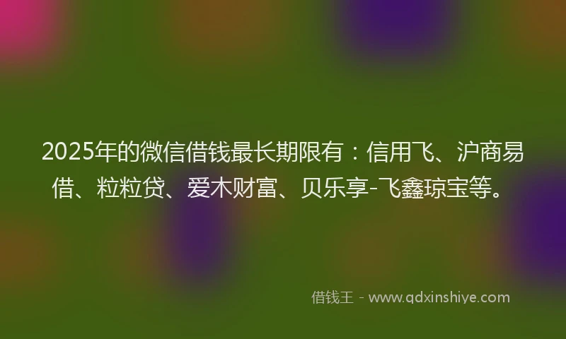 2025年的微信借钱最长期限有：信用飞、沪商易借、粒粒贷、爱木财富、贝乐享-飞鑫琼宝等。
