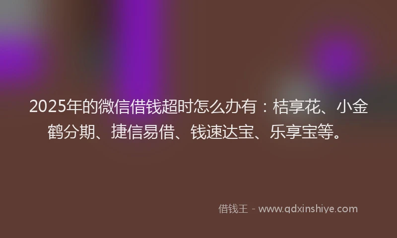 2025年的微信借钱超时怎么办有：桔享花、小金鹤分期、捷信易借、钱速达宝、乐享宝等。