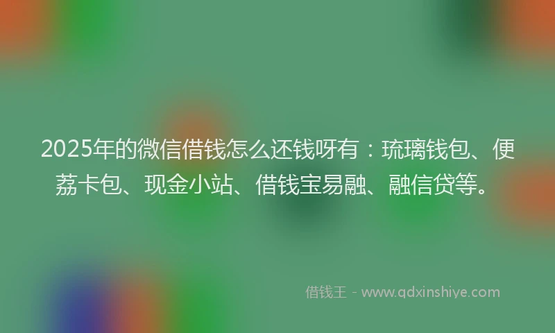 2025年的微信借钱怎么还钱呀有：琉璃钱包、便荔卡包、现金小站、借钱宝易融、融信贷等。