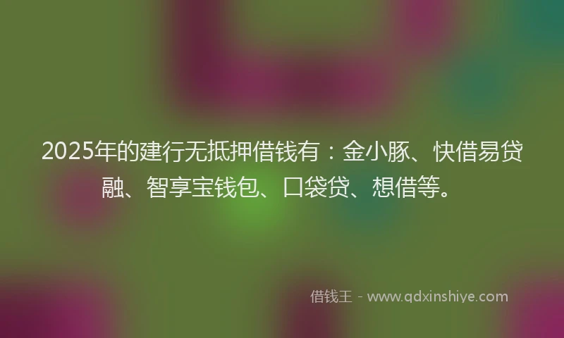 2025年的建行无抵押借钱有：金小豚、快借易贷融、智享宝钱包、口袋贷、想借等。