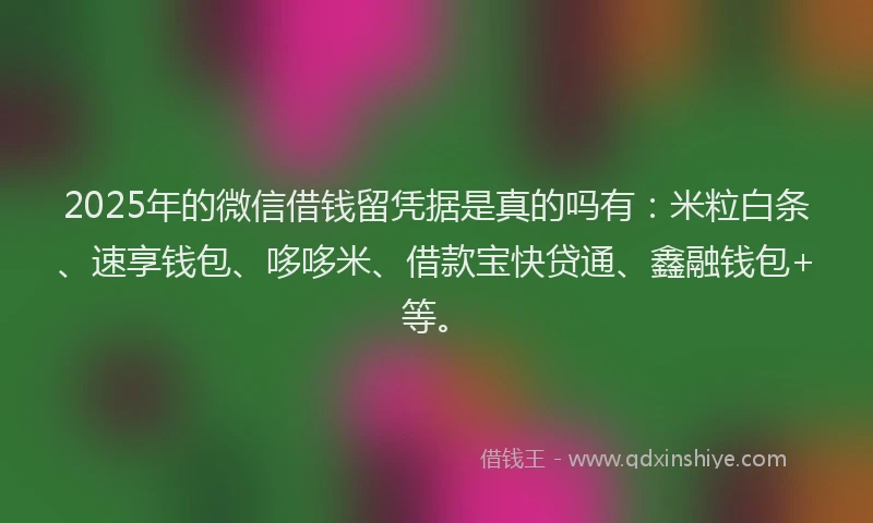 2025年的微信借钱留凭据是真的吗有：米粒白条、速享钱包、哆哆米、借款宝快贷通、鑫融钱包+等。