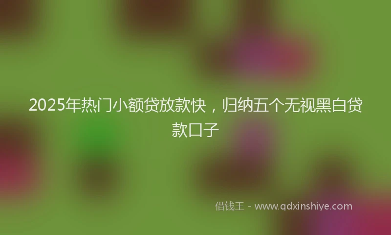 2025年热门小额贷放款快，归纳五个无视黑白贷款口子