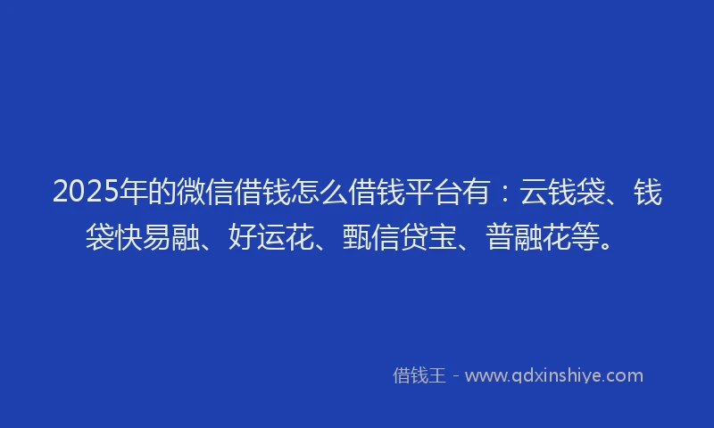 2025年的微信借钱怎么借钱平台有：云钱袋、钱袋快易融、好运花、甄信贷宝、普融花等。