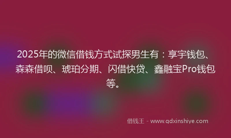 2025年的微信借钱方式试探男生有：享宇钱包、森森借呗、琥珀分期、闪借快贷、鑫融宝Pro钱包等。