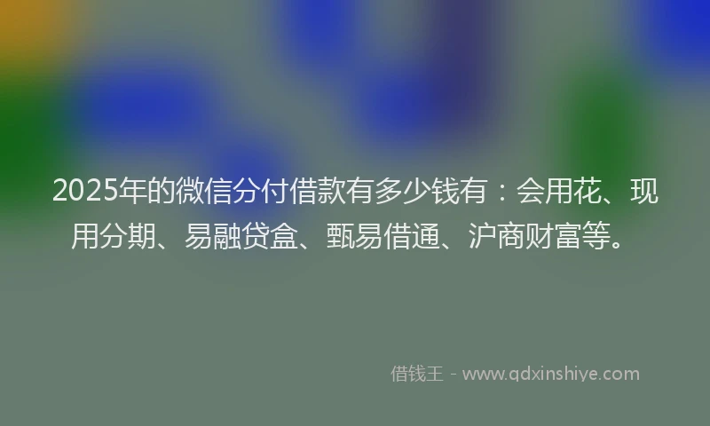 2025年的微信分付借款有多少钱有：会用花、现用分期、易融贷盒、甄易借通、沪商财富等。