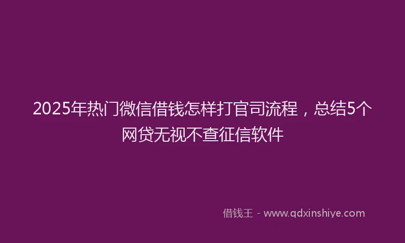 2025年热门微信借钱怎样打官司流程,总结5个网贷无视不查征信软件