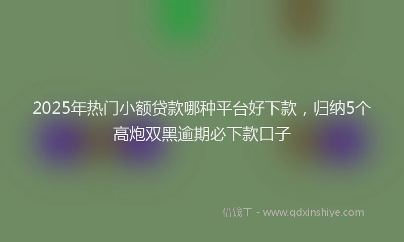 2025年热门小额贷款哪种平台好下款，归纳5个高炮双黑逾期必下款口子