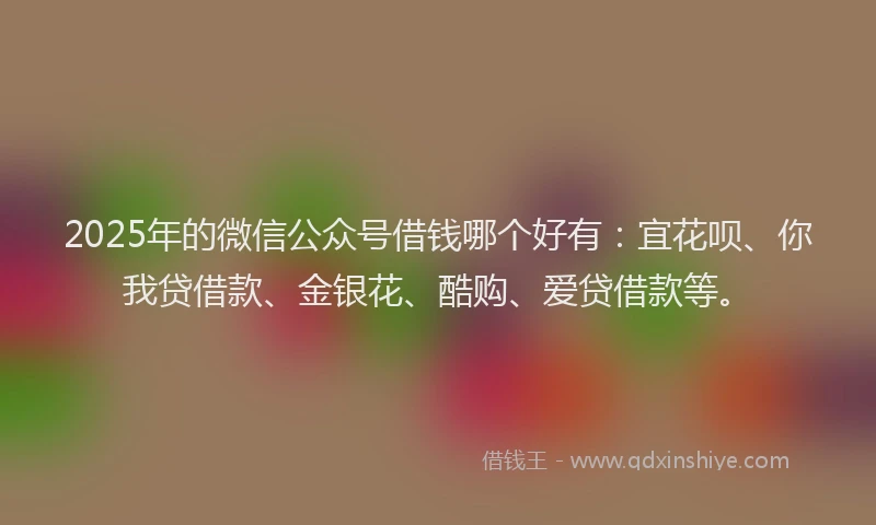 2025年的微信公众号借钱哪个好有：宜花呗、你我贷借款、金银花、酷购、爱贷借款等。