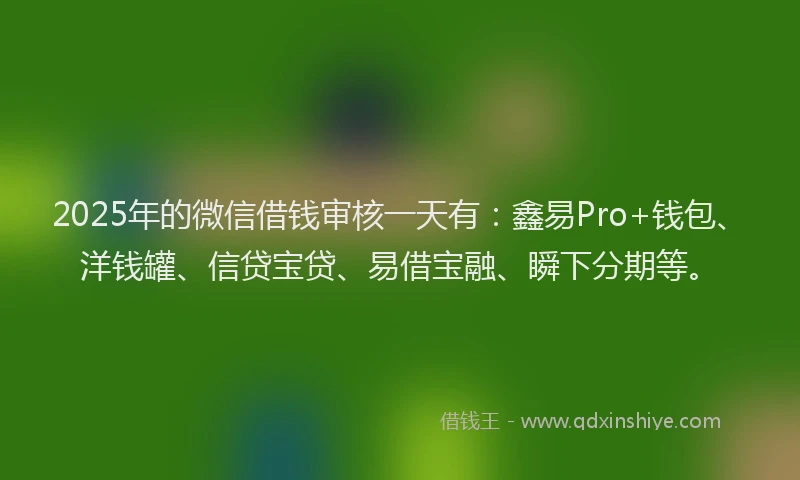 2025年的微信借钱审核一天有:鑫易Pro+钱包、洋钱罐、信贷宝贷、易借宝融、瞬下分期等。