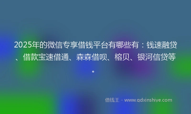 2025年的微信专享借钱平台有哪些有：钱速融贷、借款宝速借通、森森借呗、榕贝、银河信贷等。