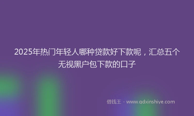 2025年热门年轻人哪种贷款好下款呢，汇总五个无视黑户包下款的口子