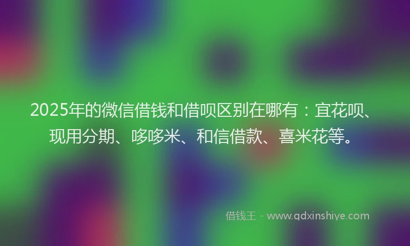 2025年的微信借钱和借呗区别在哪有：宜花呗、现用分期、哆哆米、和信借款、喜米花等。