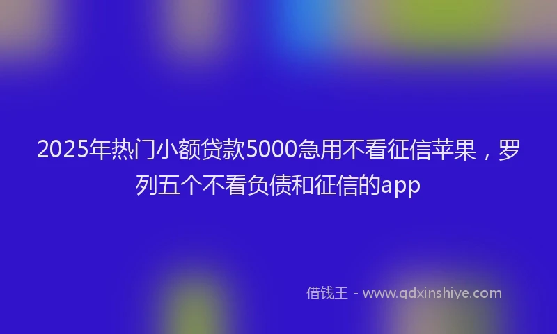 2025年热门小额贷款5000急用不看征信苹果，罗列五个不看负债和征信的app