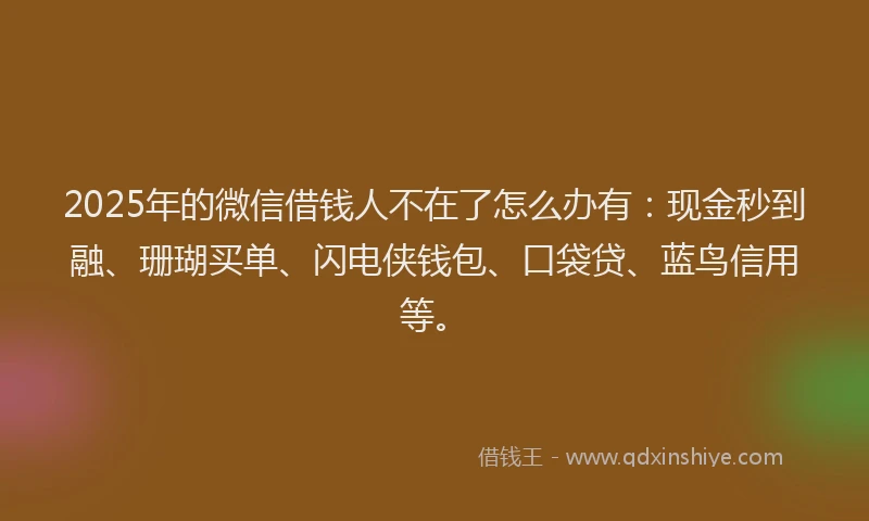 2025年的微信借钱人不在了怎么办有：现金秒到融、珊瑚买单、闪电侠钱包、口袋贷、蓝鸟信用等。