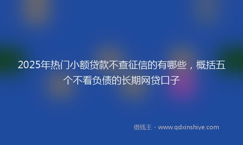 2025年热门小额贷款不查征信的有哪些，概括五个不看负债的长期网贷口子