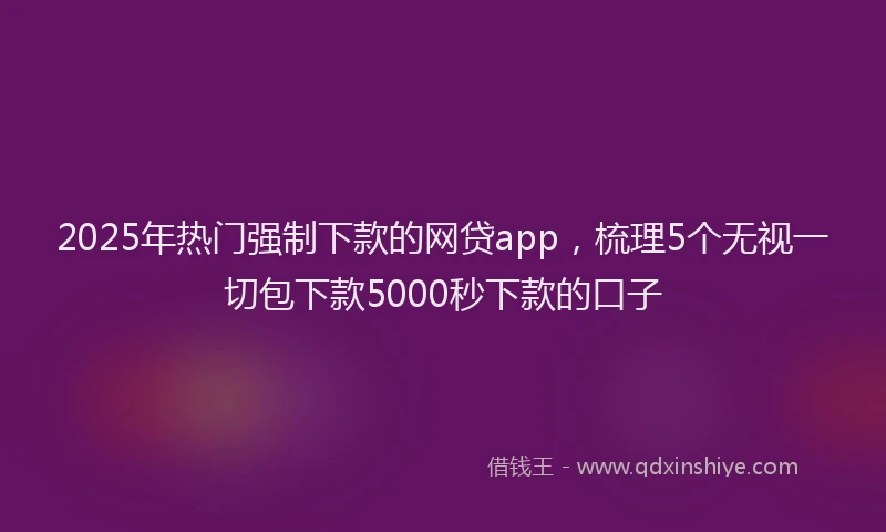 2025年热门强制下款的网贷app，梳理5个无视一切包下款5000秒下款的口子