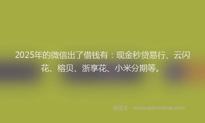 2025年的微信出了借钱有：现金秒贷易行、云闪花、榕贝、浙享花、小米分期等。