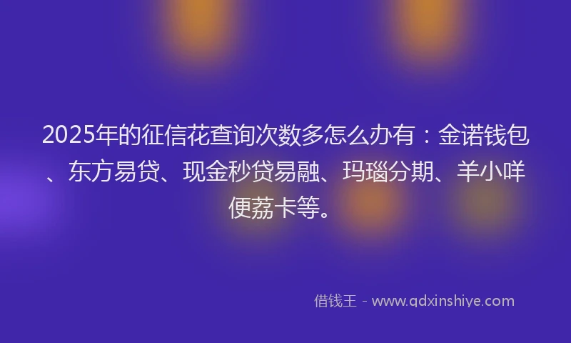 2025年的征信花查询次数多怎么办有：金诺钱包、东方易贷、现金秒贷易融、玛瑙分期、羊小咩便荔卡等。