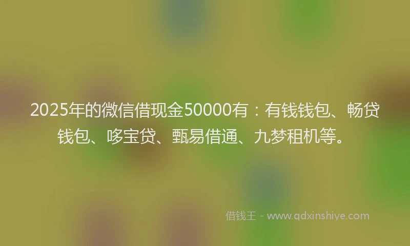 2025年的微信借现金50000有：有钱钱包、畅贷钱包、哆宝贷、甄易借通、九梦租机等。