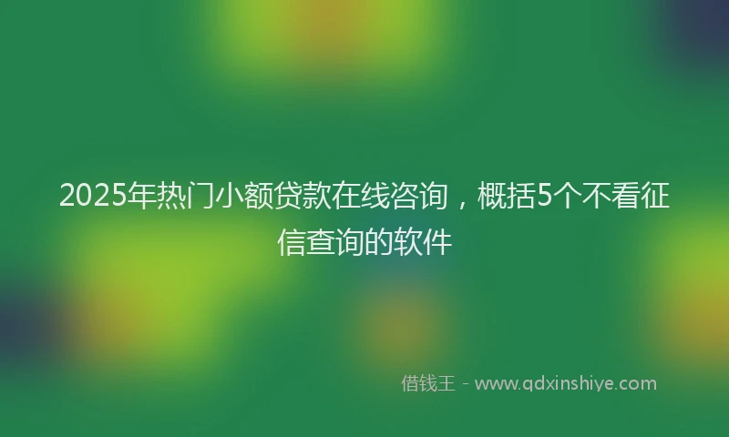 2025年热门小额贷款在线咨询，概括5个不看征信查询的软件