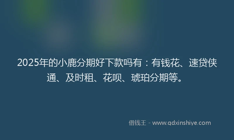 2025年的小鹿分期好下款吗有：有钱花、速贷侠通、及时租、花呗、琥珀分期等。