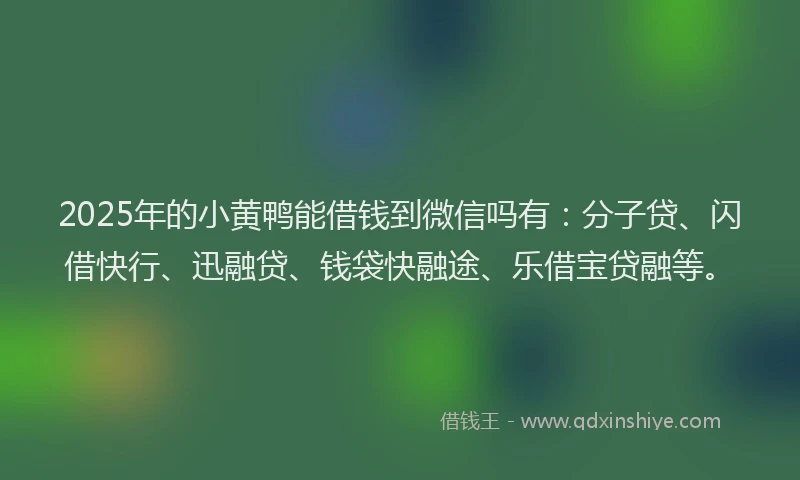 2025年的小黄鸭能借钱到微信吗有：分子贷、闪借快行、迅融贷、钱袋快融途、乐借宝贷融等。