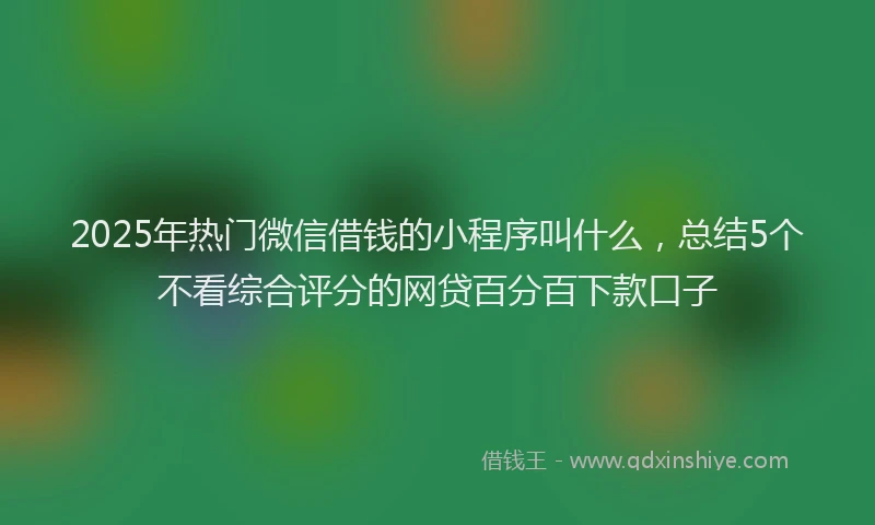 2025年热门微信借钱的小程序叫什么，总结5个不看综合评分的网贷百分百下款口子