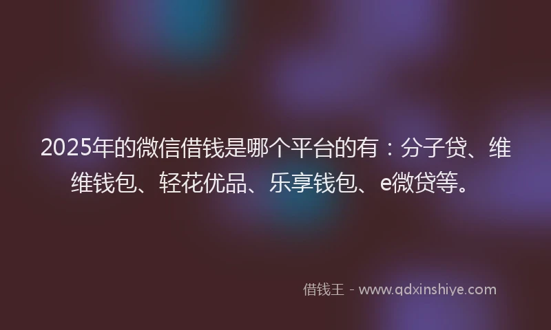 2025年的微信借钱是哪个平台的有：分子贷、维维钱包、轻花优品、乐享钱包、e微贷等。