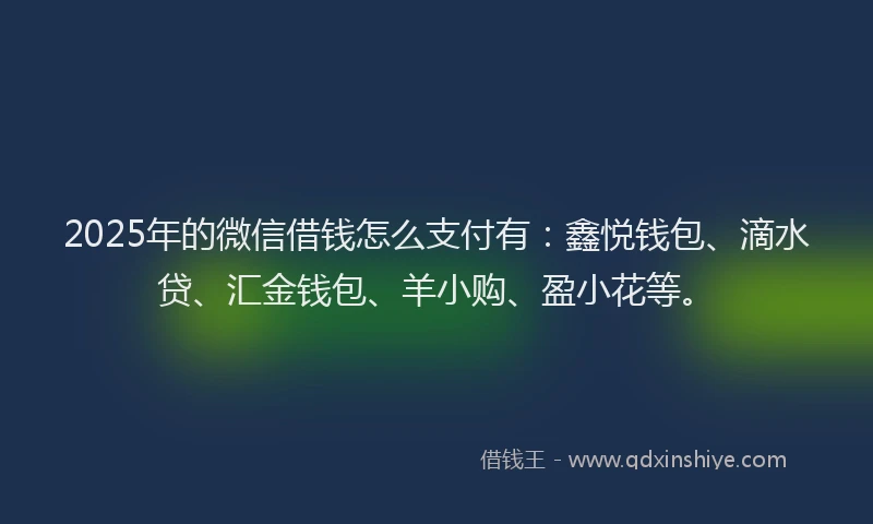 2025年的微信借钱怎么支付有：鑫悦钱包、滴水贷、汇金钱包、羊小购、盈小花等。