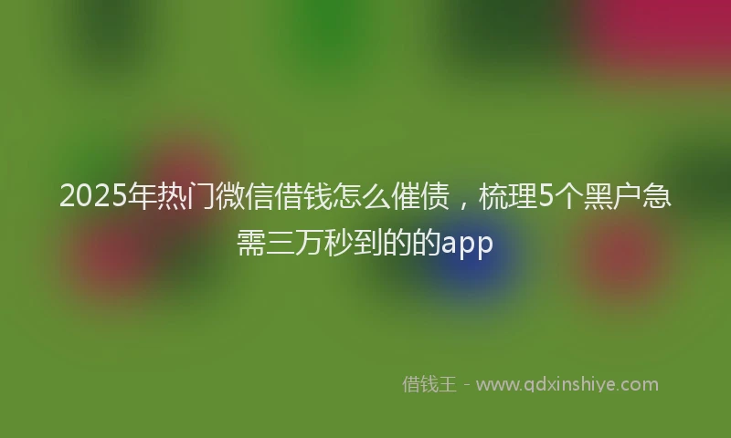 2025年热门微信借钱怎么催债，梳理5个黑户急需三万秒到的的app
