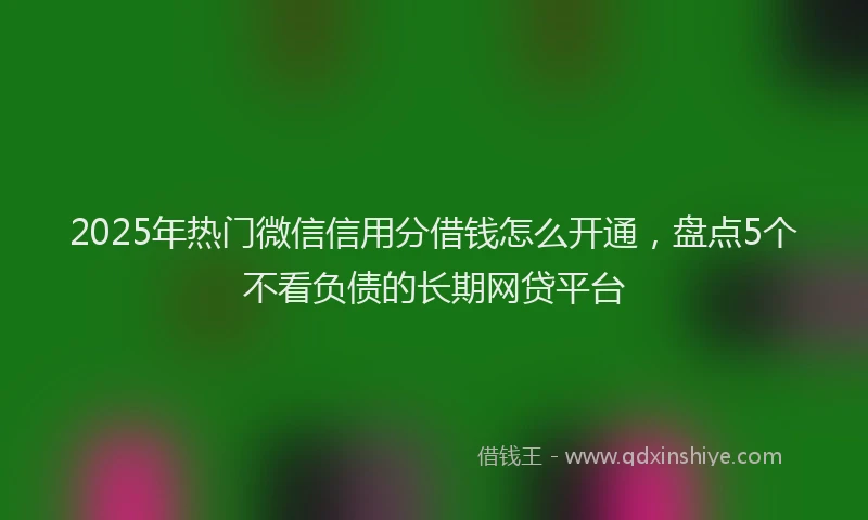 2025年热门微信信用分借钱怎么开通，盘点5个不看负债的长期网贷平台