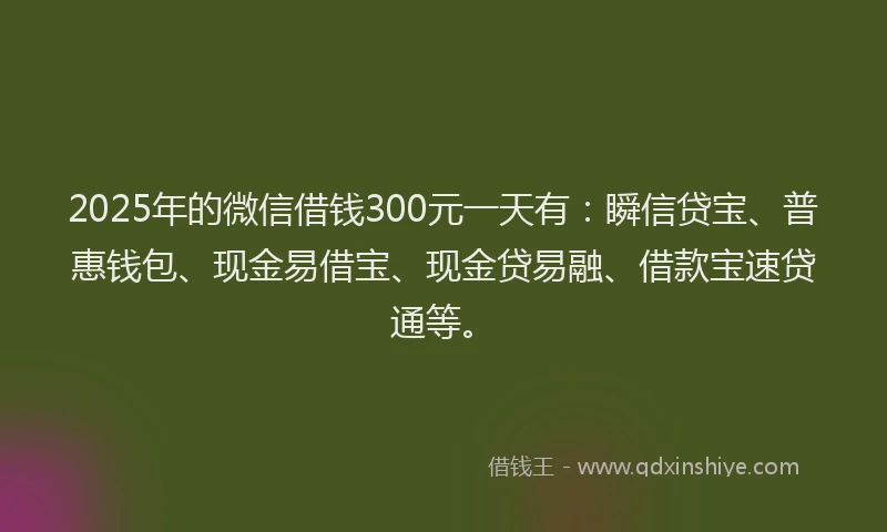 2025年的微信借钱300元一天有：瞬信贷宝、普惠钱包、现金易借宝、现金贷易融、借款宝速贷通等。