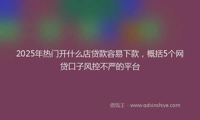 2025年热门开什么店贷款容易下款，概括5个网贷口子风控不严的平台