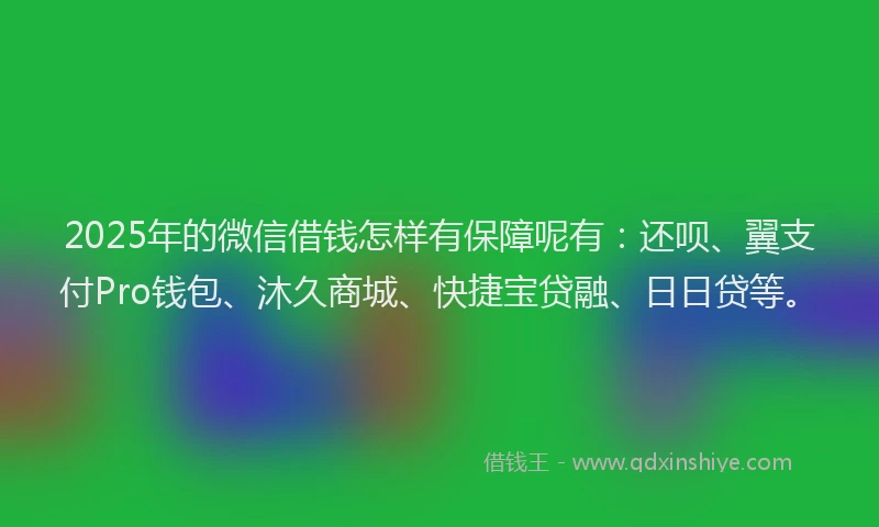 2025年的微信借钱怎样有保障呢有：还呗、翼支付Pro钱包、沐久商城、快捷宝贷融、日日贷等。