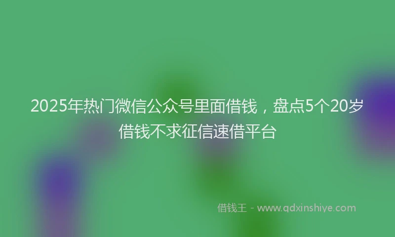 2025年热门微信公众号里面借钱，盘点5个20岁借钱不求征信速借平台