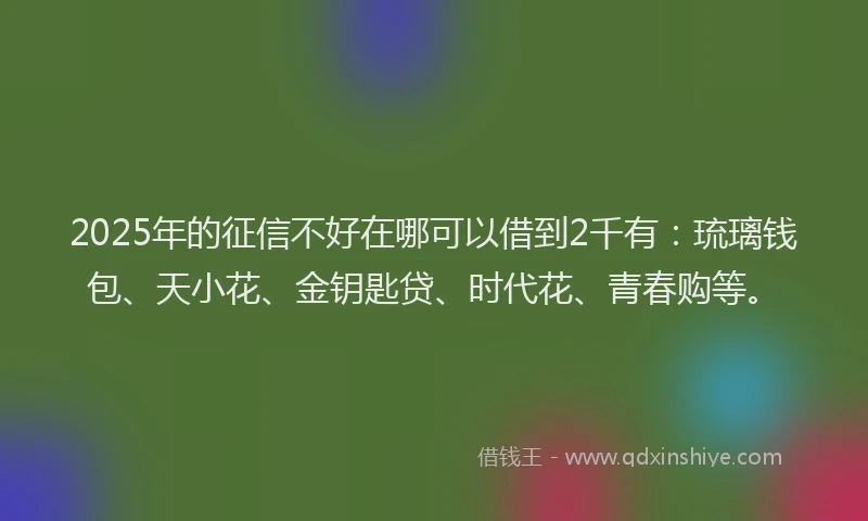 2025年的征信不好在哪可以借到2千有：琉璃钱包、天小花、金钥匙贷、时代花、青春购等。